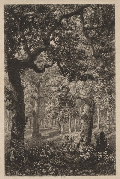 I skoven af Adolphe Théodore Jules Martial Potémont