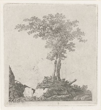 To træer af Adriaan Jacob Willem van Dielen
