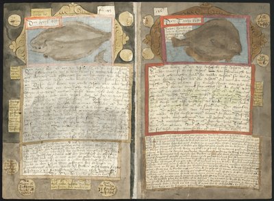 Adriaen Coenens Visboeck af Adriaen Coenen