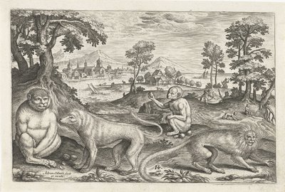 Aber Firebenede dyr (serietitel) Animalivm Qvaddrvpedvm (serietitel) af Adriaen Collaert