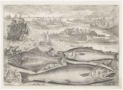 Tre fisk på stranden Fiskeri (serietitel) Piscium vivae-ikoner (serietitel) af Adriaen Collaert