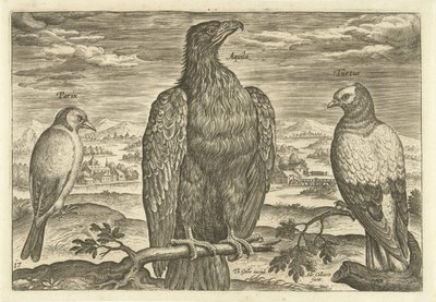Tre fugle i et landskab Avium Vivae (serietitel) Fugle (serietitel) af Adriaen Collaert