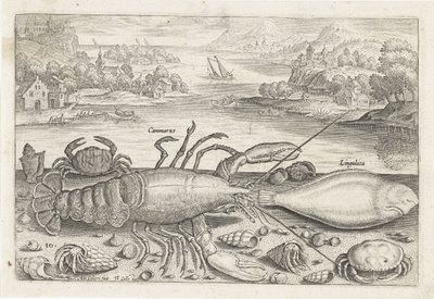 En fisk og nogle krebsdyr på stranden Fiskeri (serietitel) Piscivm vivae ikoner (serietitel) af Adriaen Collaert
