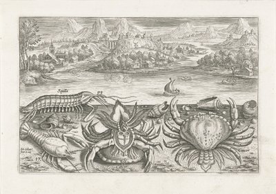 Nogle krebsdyr på stranden Fiskeri (serietitel) Piscium vivae-ikoner (serietitel) af Adriaen Collaert
