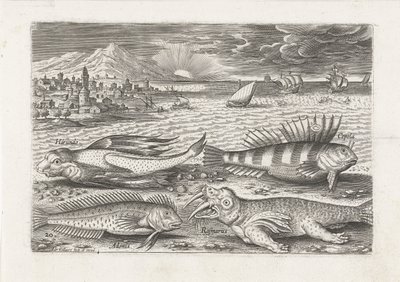 Nogle fisk og en hvalros på stranden Fiskeri (serietitel) Piscivm vivae ikoner (serietitel) af Adriaen Collaert