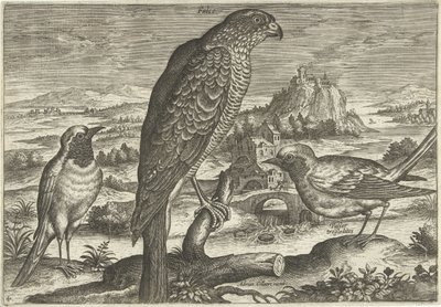 Nogle fugle i et landskab Fugle (serietitel) Avivm vivae (serietitel) af Adriaen Collaert