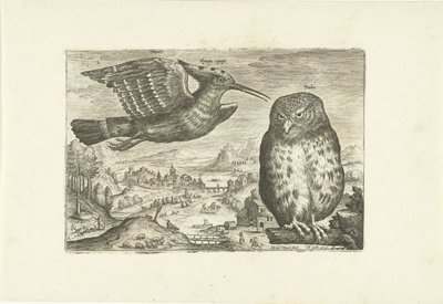 Nogle fugle i et landskab Fugle (serietitel) Avivm vivae (serietitel) af Adriaen Collaert