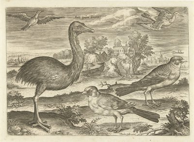 Nogle fugle i et landskab Fugle (serietitel) Avivm vivae (serietitel) af Adriaen Collaert