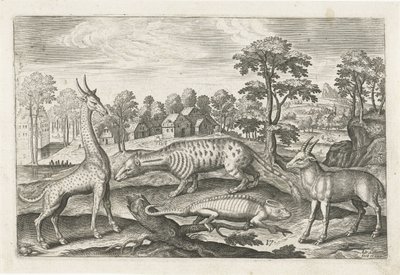 eksotiske dyr Firebenede dyr (serietitel) Animalivm Qvaddrvpedvm (serietitel) af Adriaen Collaert