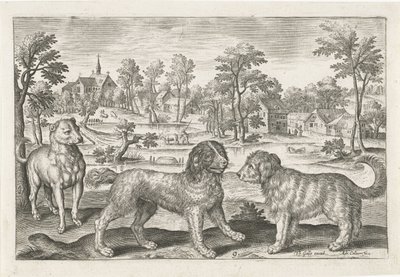 hunde Firebenede dyr (serietitel) Animalivm Qvaddrvpedvm (serietitel) af Adriaen Collaert