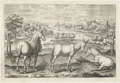 Hest og æsler Firebenede dyr (serietitel) Animalivm Qvaddrvpedvm (serietitel) af Adriaen Collaert