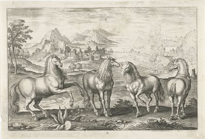 Heste Firebenede dyr (serietitel) Animalivm Qvaddrvpedvm (serietitel) af Adriaen Collaert