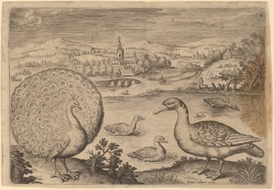 Påfugl og gås af Adriaen Collaert