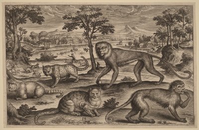  af Adriaen Collaert