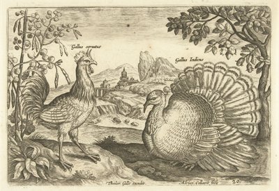 To høns i et landskab Avium Vivae (serietitel) Fugle (serietitel) af Adriaen Collaert