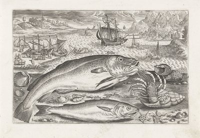 To fisk på stranden Fiskeri (serietitel) Piscium vivae-ikoner (serietitel) af Adriaen Collaert