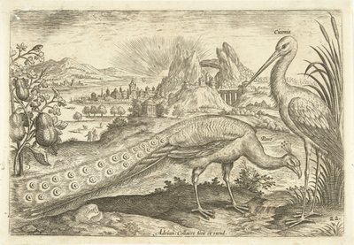 To fugle i et landskab Avium Vivae (serietitel) Fugle (serietitel) af Adriaen Collaert