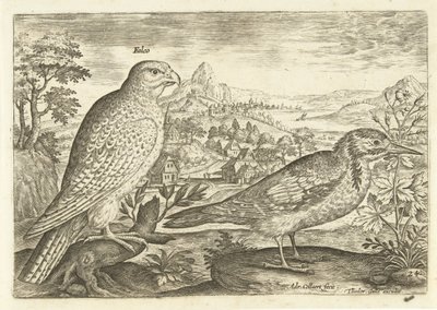 To fugle i et landskab Avium Vivae (serietitel) Fugle (serietitel) af Adriaen Collaert