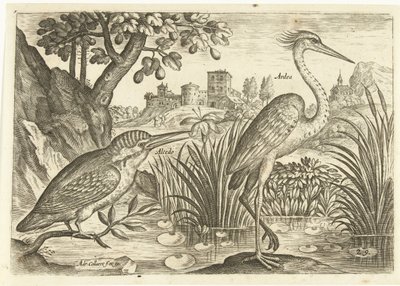 To fugle i et landskab Fugle (serietitel) Avium Vivae (serietitel) af Adriaen Collaert