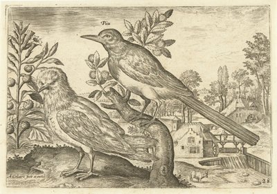 To fugle i et landskab Fugle (serietitel) Avium Vivae (serietitel) af Adriaen Collaert
