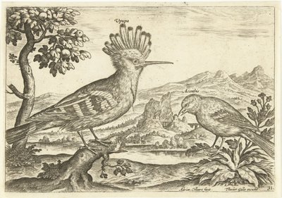 To fugle i et landskab Fugle (serietitel) Avium Vivae (serietitel) af Adriaen Collaert