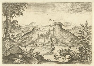 To fugle i et landskab Fugle (serietitel) Avium Vivae (serietitel) af Adriaen Collaert