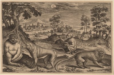To aber og to aber af Adriaen Collaert