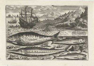 Fire fisk på stranden Fiskeri (serietitel) Piscium vivae-ikoner (serietitel) af Adriaen Collaert