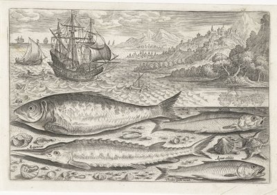 Fire fisk på stranden Fiskeri (serietitel) Piscium vivae-ikoner (serietitel) af Adriaen Collaert