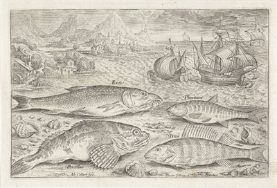 Fire fisk på stranden Fiskeri (serietitel) Piscium vivae-ikoner (serietitel) af Adriaen Collaert