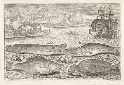 Fire fisk på stranden Fiskeri (serietitel) Piscium vivae-ikoner (serietitel) af Adriaen Collaert