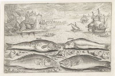 Fire fisk på stranden Fiskeri (serietitel) Piscium vivae-ikoner (serietitel) af Adriaen Collaert