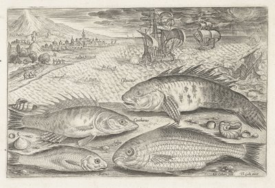 Fire fisk på stranden Fiskeri (serietitel) Piscium vivae-ikoner (serietitel) af Adriaen Collaert