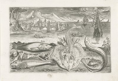 Fire fisk på stranden Fiskeri (serietitel) Piscium vivae-ikoner (serietitel) af Adriaen Collaert