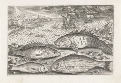 Fire fisk på stranden Fiskeri (serietitel) Piscium vivae-ikoner (serietitel) af Adriaen Collaert