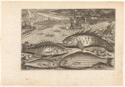 Fire fisk på stranden Fiskeri (serietitel) Piscium vivae-ikoner (serietitel) af Adriaen Collaert