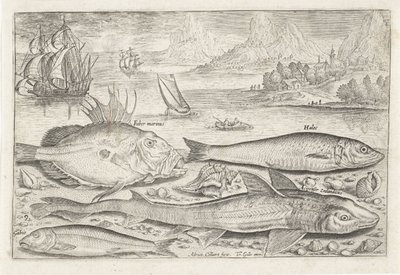 Fire fisk på stranden Fiskeri (serietitel) Piscium vivae-ikoner (serietitel) af Adriaen Collaert