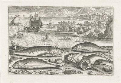 Fem fisk på stranden Fiskeri (serietitel) Piscium vivae-ikoner (serietitel) af Adriaen Collaert