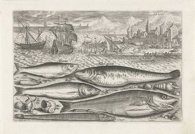 Fem fisk på stranden Fiskeri (serietitel) Piscium vivae-ikoner (serietitel) af Adriaen Collaert