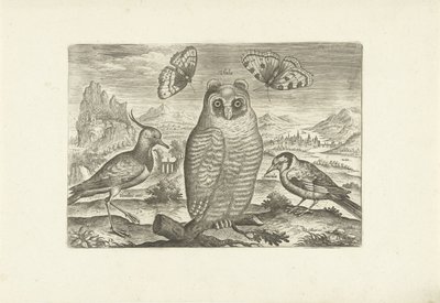 Fugle og sommerfugle i et landskab Fugle (serietitel) Avium vivae (serietitel) af Adriaen Collaert