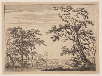 Dammen af Adriaen Hendricksz. Verboom
