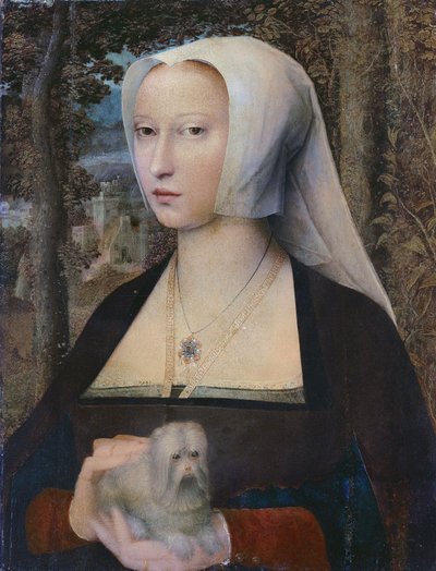 Portræt af en dame i halvfigur med en hund af Adriaen Isenbrandt