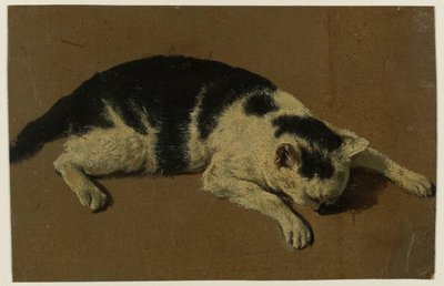 Kat liggende med hovedet mellem forbenene af Adriaen van de Velde (attributed to)