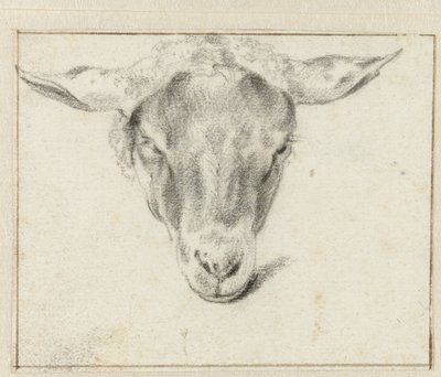 Fårehoved, forfra af Adriaen van de Velde (attributed to)