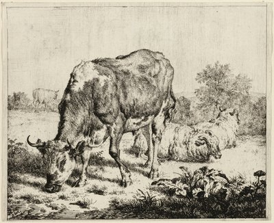 En ko og tre får af Adriaen van de Velde