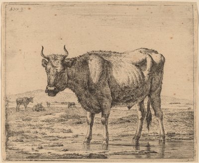 Tyr, der står i vand af Adriaen van de Velde