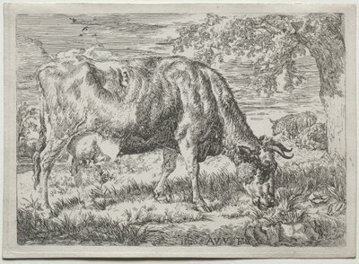 Ko og to får ved foden af et træ, 1670. af Adriaen van de Velde