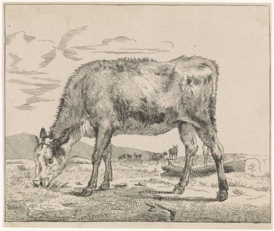 Græskalv Kvæg (serietitel) af Adriaen van de Velde