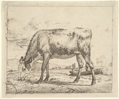 Græssende kalv, fra forskellige dyr, 1658. af Adriaen van de Velde