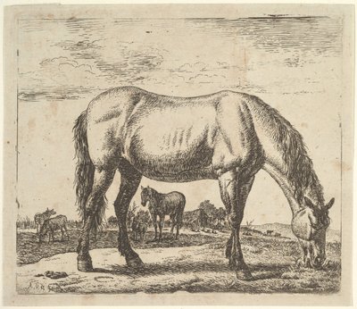 Græssende hest, fra forskellige dyr. af Adriaen van de Velde